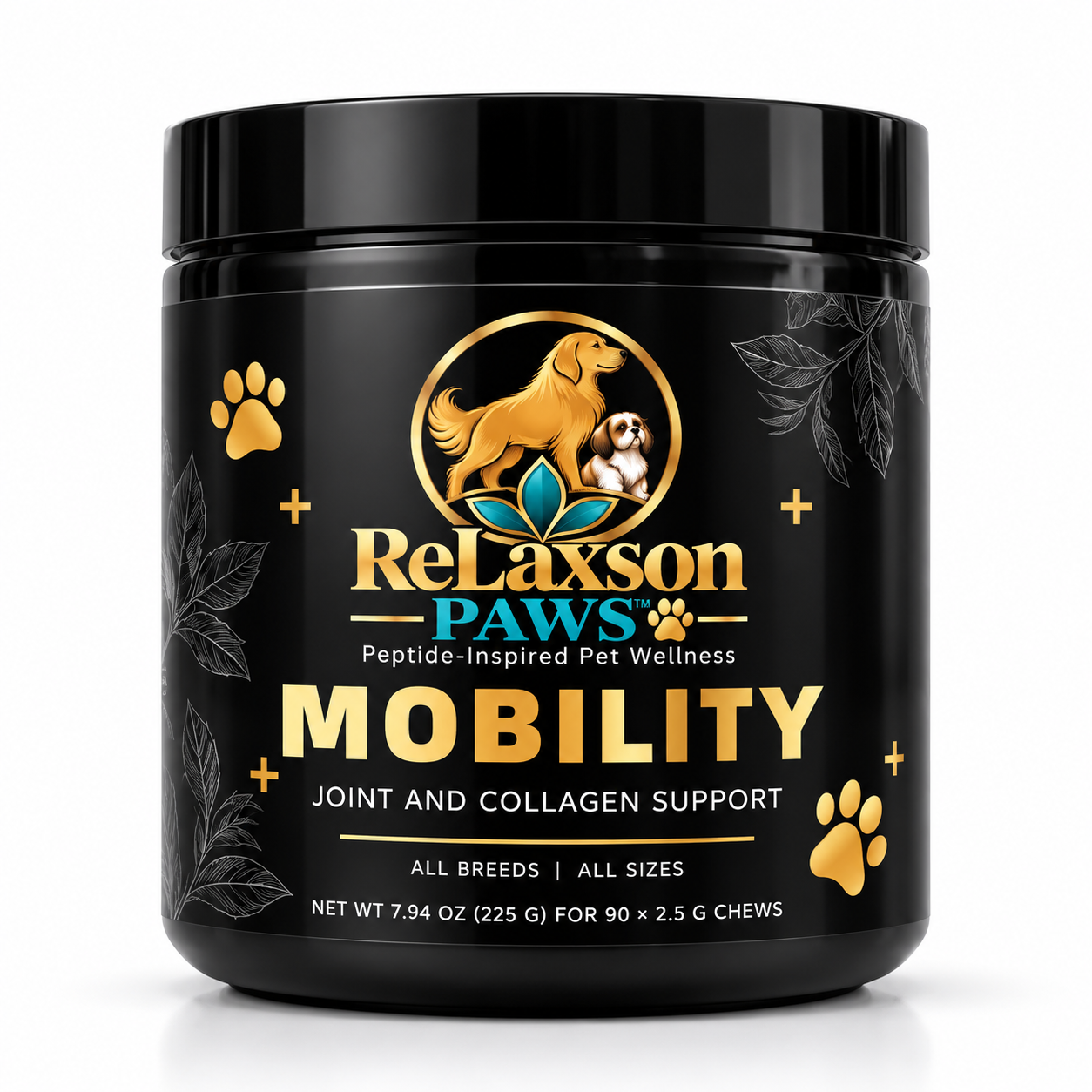 PAWS Mobility
