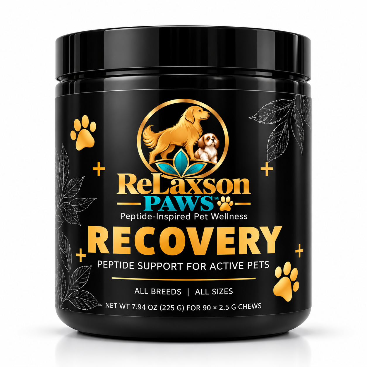 PAWS Recovery